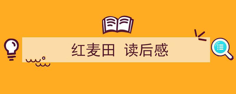 红麦田