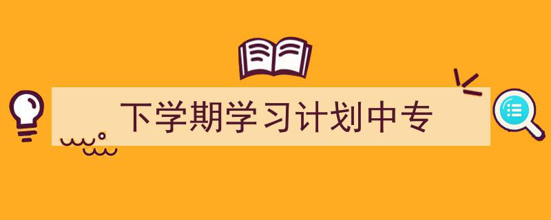下学期学习计划中专如何写我教你。（精选5篇）"/