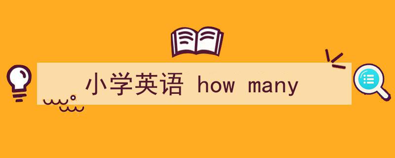 怎么写《小学英语
