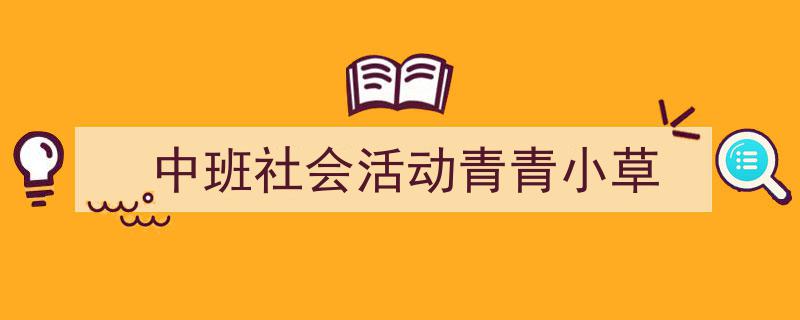 写作《中班社会活动青青小草》小技巧请记住这五点。（精选5篇）"/