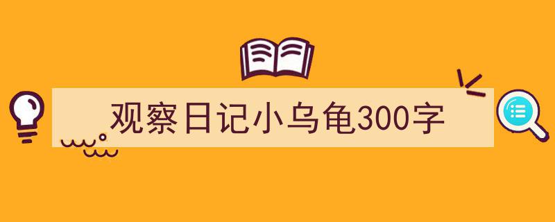 观察日记小乌龟300字如何写我教你。（精选5篇）"/