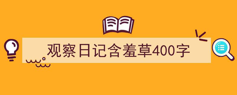 推荐《观察日记含羞草400字》相关写作范文范例（精选5篇）"/