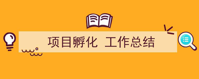 精心挑选《项目孵化