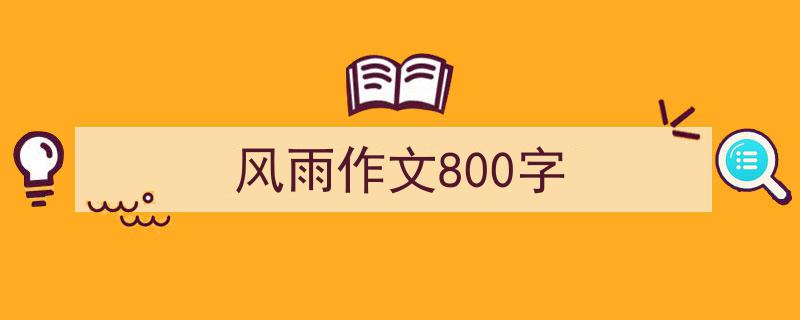 一篇文章轻松搞定《风雨作文800字》的写作。（精选5篇）"/