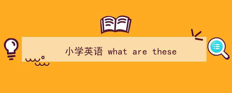 一篇文章轻松搞定《小学英语
