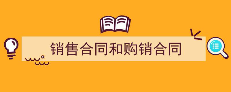 推荐《销售合同和购销合同》相关写作范文范例（精选5篇）"/