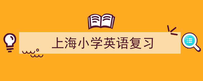 一篇文章轻松搞定《上海小学英语复习》的写作。（精选5篇）"/