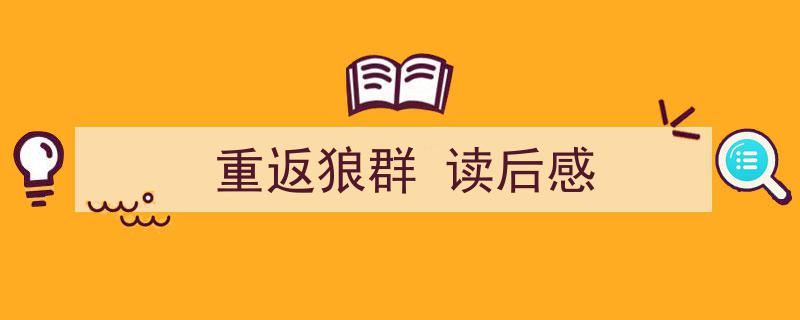 精心挑选《重返狼群