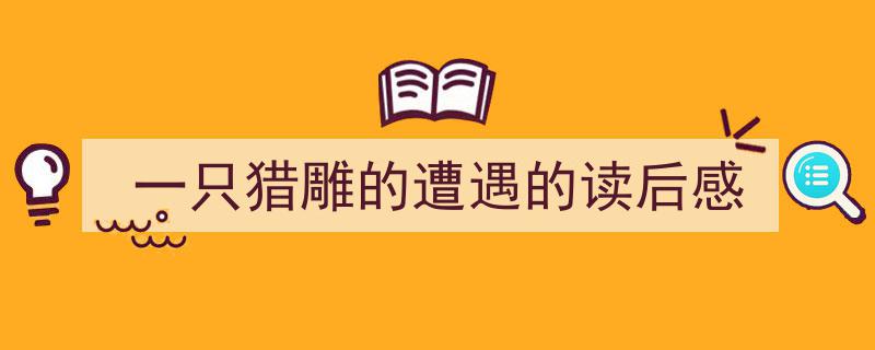格策美文教你学写《一只猎雕的遭遇的读后感》小技巧（精选5篇）"/