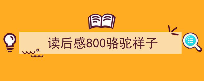 读后感800骆驼祥子如何写我教你。（精选5篇）"/