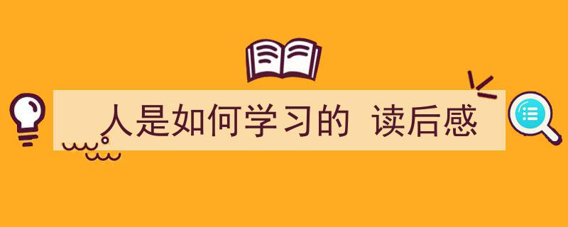 精心挑选《人是如何学习的