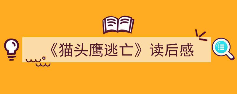 怎么写《《猫头鹰逃亡》读后感》才能拿满分？（精选5篇）"/