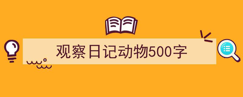 精心挑选《观察日记动物500字》相关文章文案。(精选5篇)"/