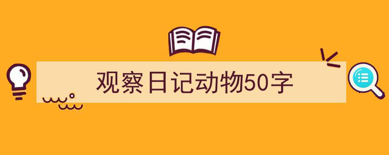 格策美文教你学写《观察日记动物50字》小技巧(精选5篇)"/