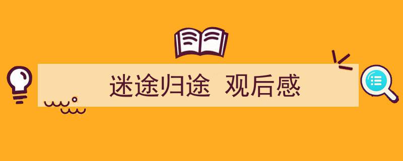 如何写《迷途归途