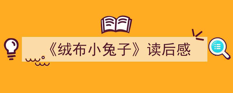 3招搞定《《绒布小兔子》读后感》写作。（精选5篇）"/
